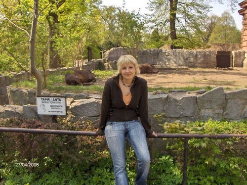 Ksiniczka