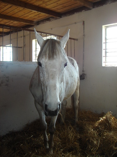 Auru ;)