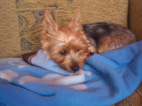 Bacia
