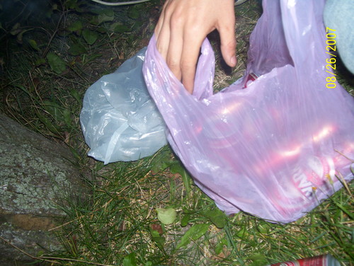 WARKA xD