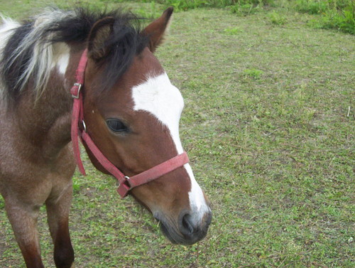 Ramboooo =)
