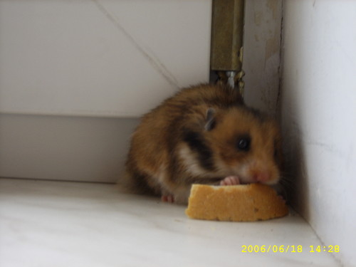 Jzia..;)