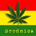 Brodnica
