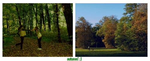 autumn ; ]