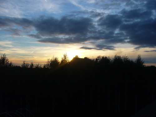 Widoczek 