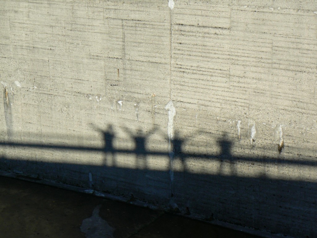 The Shadows