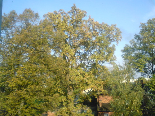 Krajobraz