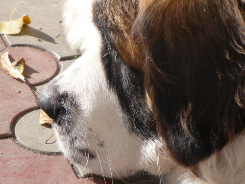 Bazyliii ;********:)