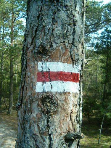 Szlak