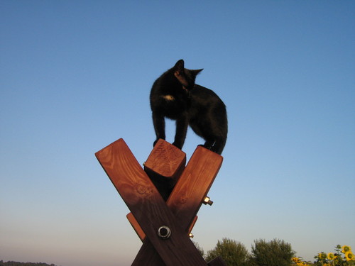 Tadeusz :)