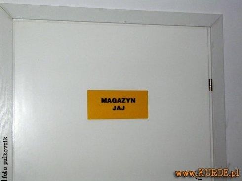 Magazzyn jaj