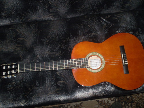 moja gitara