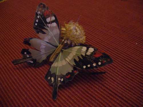Motyl