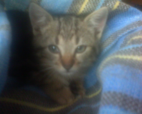 Maniu ;]