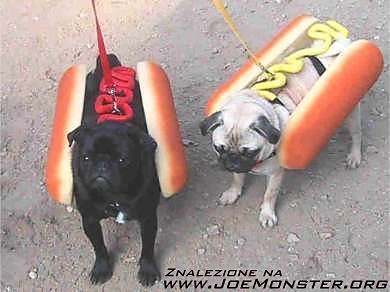 Hot Dog