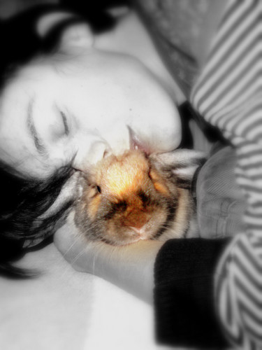 Bodo&Tamek