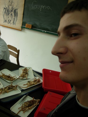 Zapiekaneczki