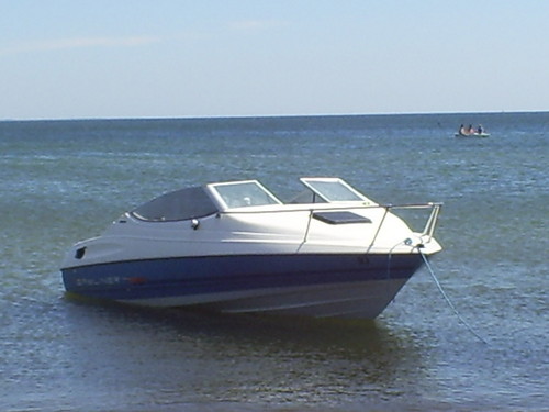 tomtarwka