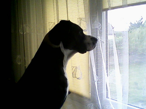 Gwny bohater....