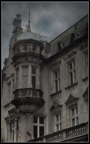 Bydgostia abscondita.