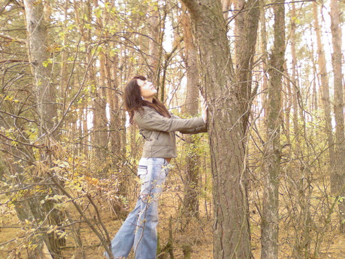 Sia drzemie w naturze