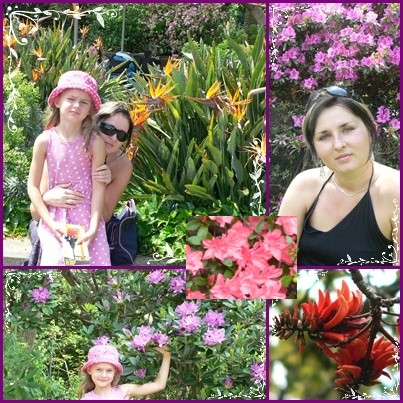 BARWY AUSTRALIJSKICH KWIATOW:)