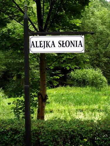 Aleja sonia :D