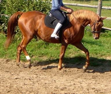 najezona;]