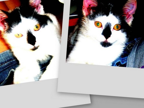 Kacperek :)_:*