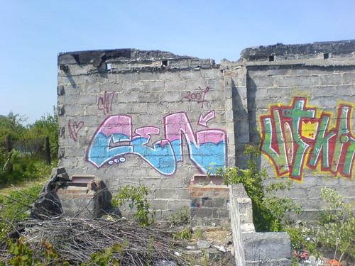 cenone