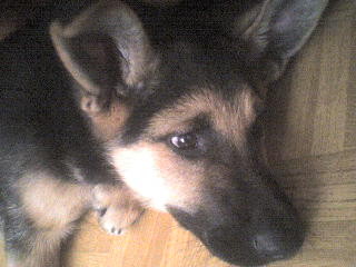 Moj kochany piefek :***