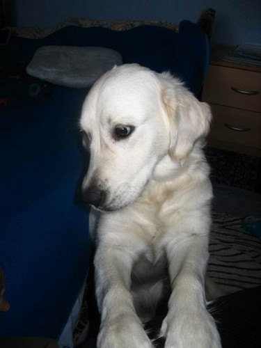 Sonia :D