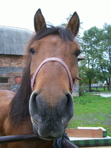 Fredziu =*