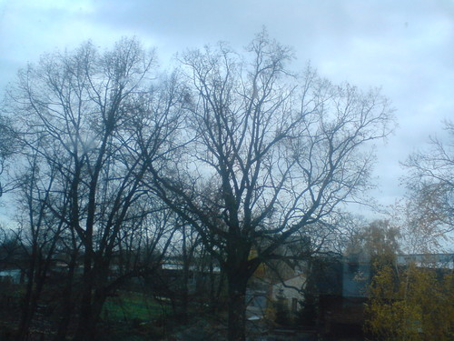 widok