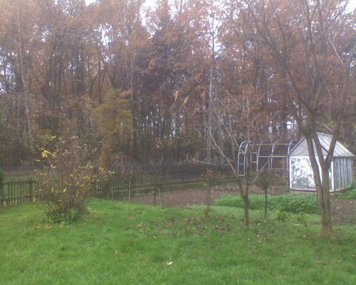 Tanczcy z Ogniem