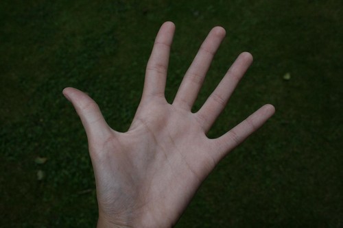 3.