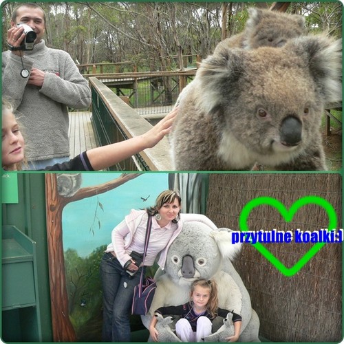 unbelievable bears