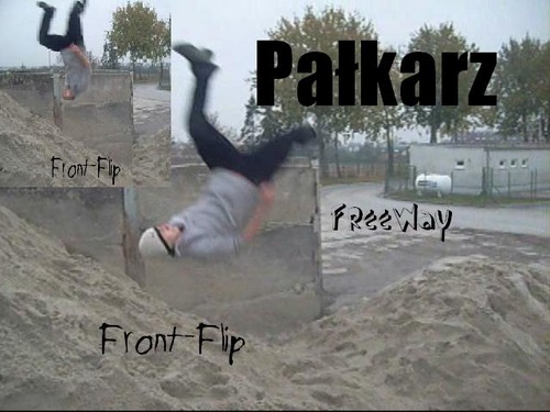 Pakarz