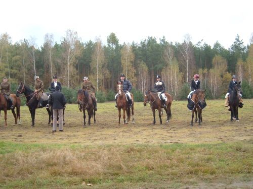 hubertusowa koronacja (: