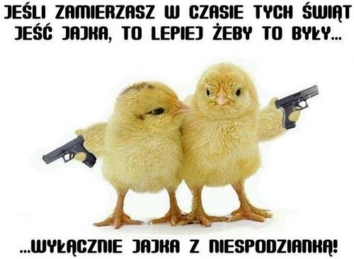 bez sensu bo klapa