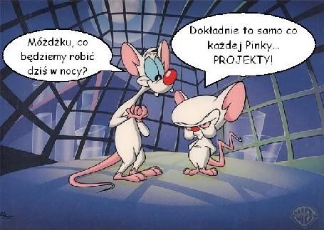 ...pierwsza...