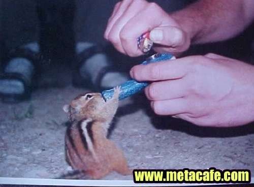 super wiewira xD