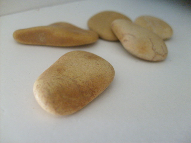 Kamyszki