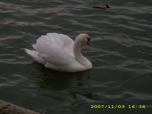 poemat... :D:)
