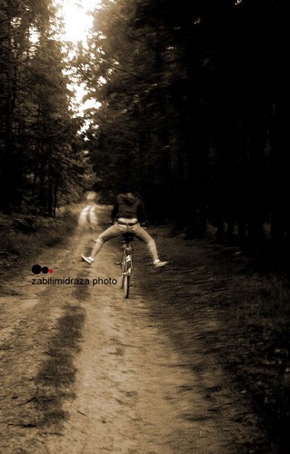 in the forest..