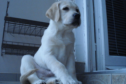 myle wic jestem...godny:D