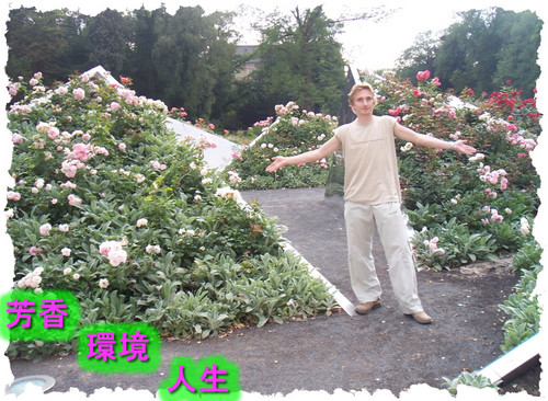 ii tenki desu ne