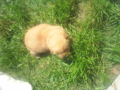 KLUSEK=)