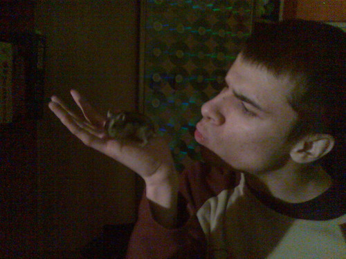 Mouse