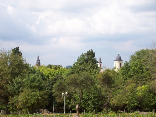 Moje miasto Zielona Gra